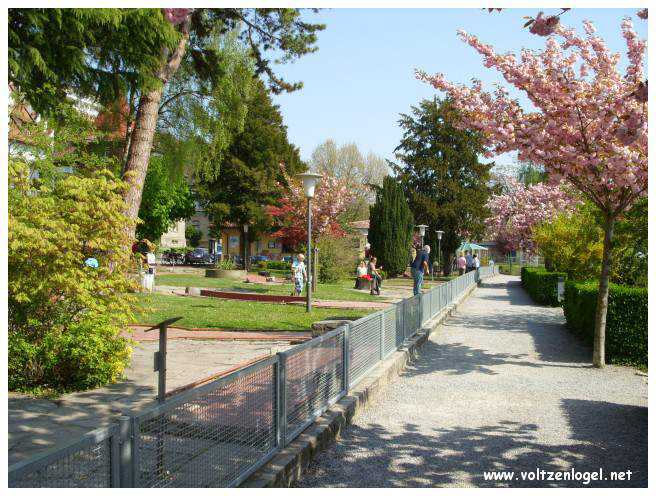 Promenade paisible le long du lac de Constance.