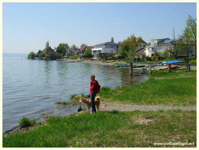 Immenstaad-Am-Bodensee. Le meilleur d'Immenstaad au bord du lac de Constance