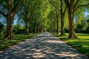 Allée fleurie menant vers le lac sur l’île Mainau