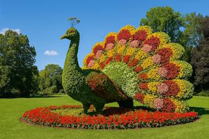 Jardin fleuri de l'île Mainau