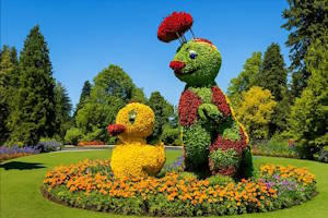 Festival culturel sur l'île Mainau mêlant musique, art et gastronomie dans un cadre fleuri