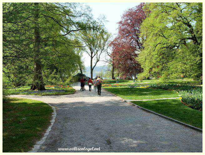 tourisme Ile Mainau