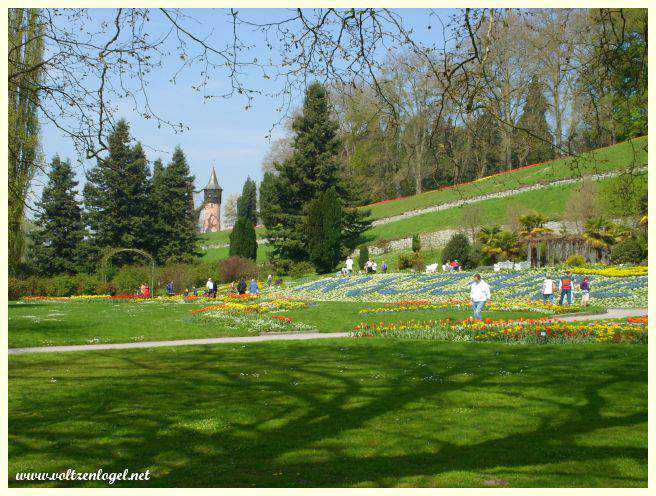 Promenade à travers les jardins des roses et des papillons de l'île.