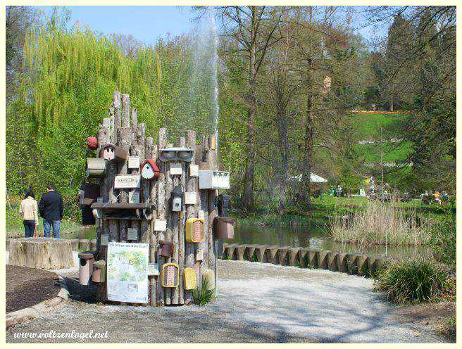 tourisme Ile Mainau