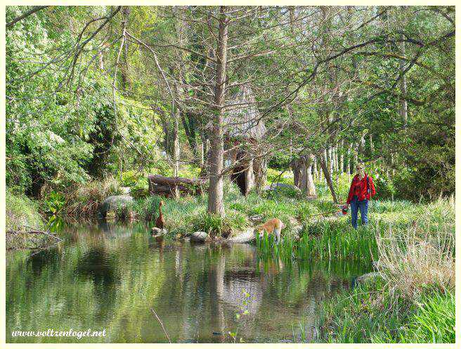 Sculptures artistiques dans les jardins botaniques.