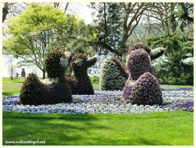 Serre aux papillons et orchidées exotiques sur Mainau.