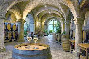 Vignobles de Meersburg avec vue sur le lac de Constance