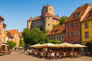 Festival traditionnel animé à Meersburg