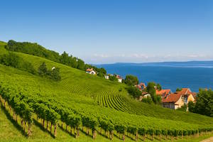 Vignobles et paysages naturels autour de Meersburg