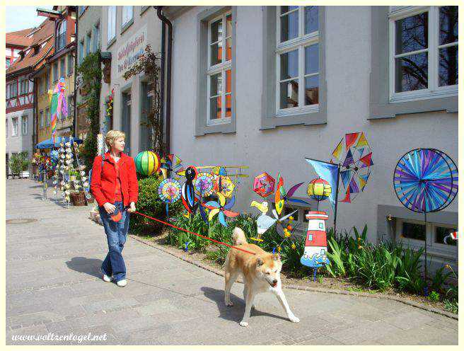 Festival musical et artistique animé à Meersburg.
