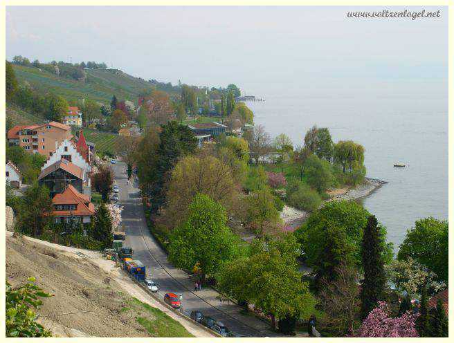 Vue panoramique du château médiéval de Meersburg dominant le lac de Constance.