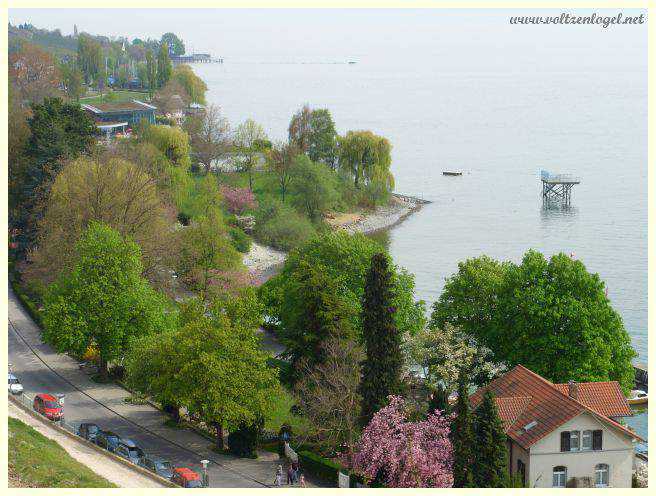 Promenade au bord du lac de Constance offrant une vue imprenable sur Meersburg.