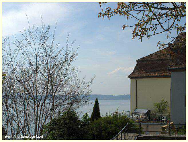 Le Nouveau Château de Meersburg et sa terrasse panoramique sur le lac.