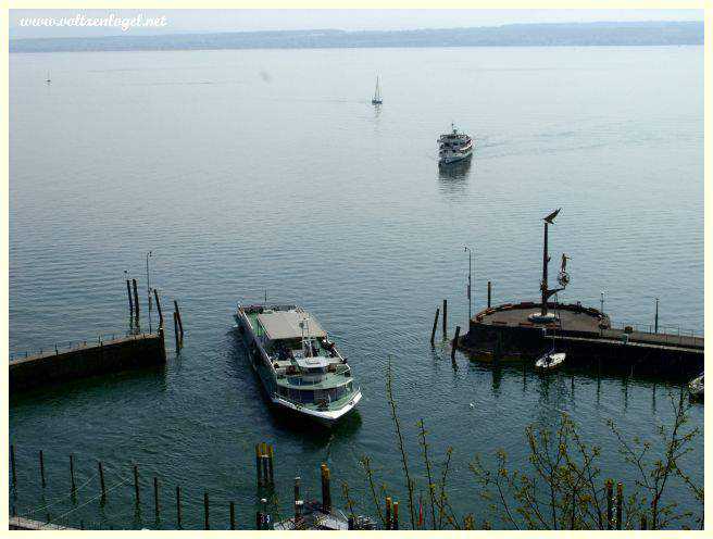 Dégustation de vins locaux dans un domaine viticole de Meersburg.