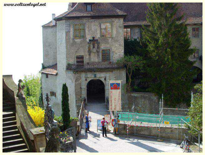 Dégustation de vins locaux dans les vignobles de Meersburg.