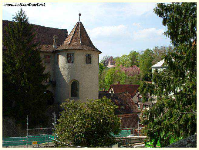 Exposition captivante au musée du Nouveau Château de Meersburg.