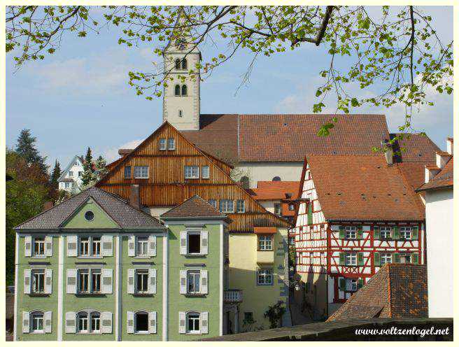 Dégustation de vins locaux dans les vignobles de Meersburg