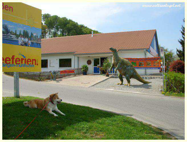 Maison des reptiles à Unteruhldingen, attraction culturelle unique.