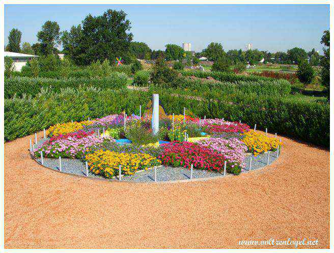 Jardins thématiques : Un voyage sensoriel au cœur de la nature