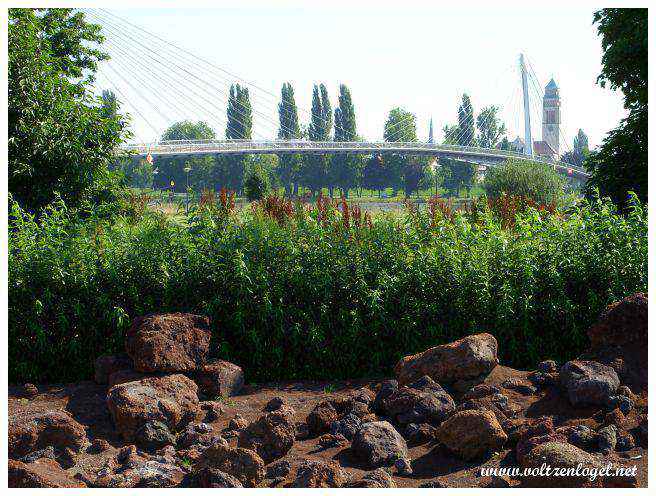 jardin des 2 Rives Strasbourg