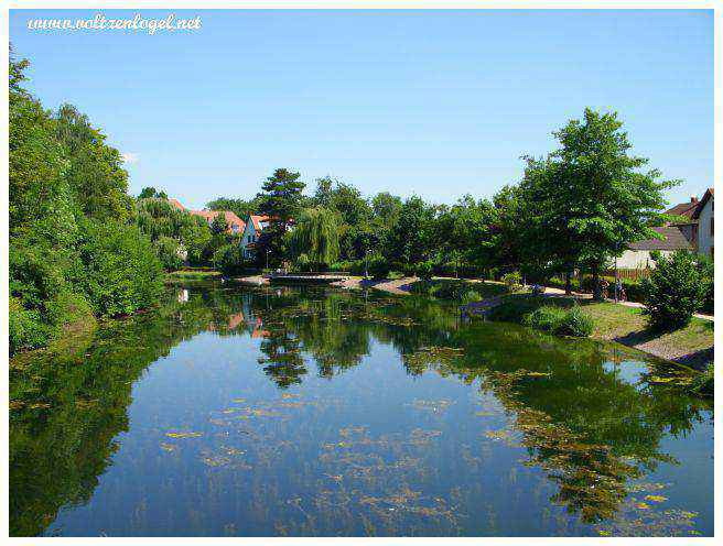 Le jardin des Deux Rives à Strasbourg et Kehl au bord du rhin