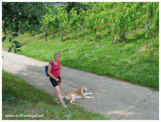 Andlau en Alsace