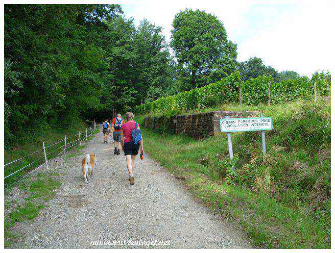 Andlau en Alsace