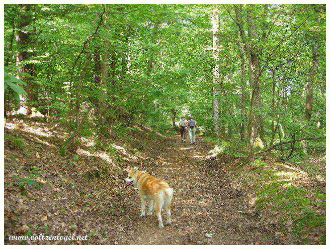 Andlau en Alsace