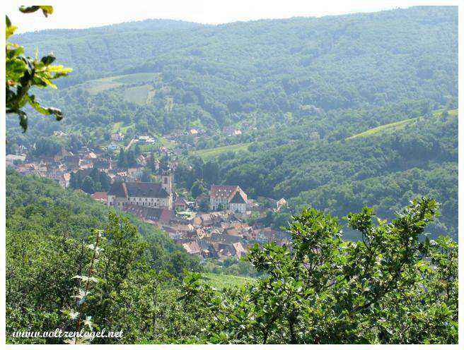 Paysages pittoresques des collines environnantes.