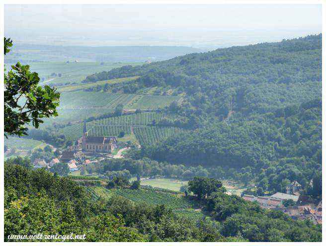 Château d'Andlau perché sur une colline, symbole médiéval.