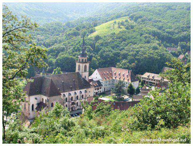 Vue panoramique sur les vignobles en terrasse d'Andlau.