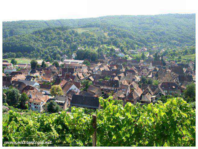 Château d'Andlau et vignobles médiévaux en Alsace