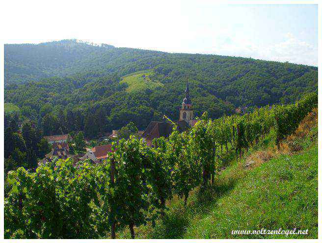 Le bourg d'Andlau. 10km de balade dans les Vosges en Alsace