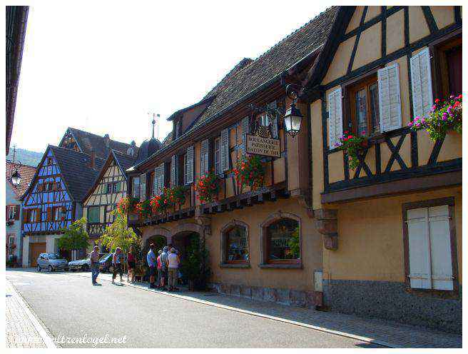 Château d'Andlau et vignobles médiévaux en Alsace
