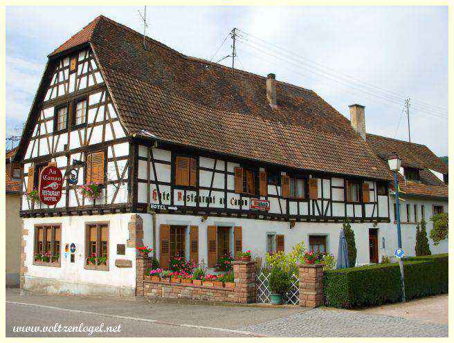 Château médiéval du Haut-Andlau au cœur des vignobles alsaciens.