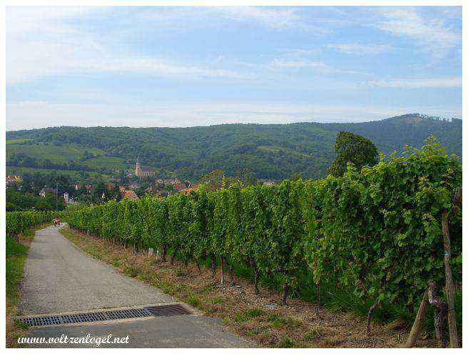 Andlau en Alsace