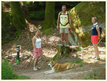 Randonnée de 10km a Erckartswiller dans les Vosges du Nord en Alsace