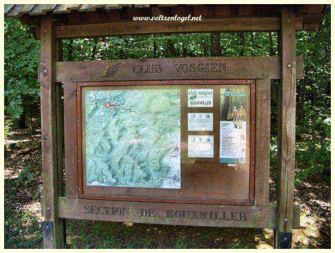 Sentiers pittoresques d'Erckartswiller dans les Vosges du Nord.