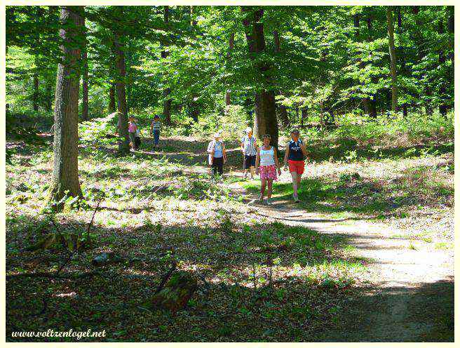 Randonnée en famille dans les bois de Erckartswiller.