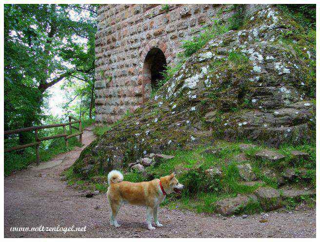 Balade à Oberhaslach en Alsace. La Cascade du Nideck, les ruines des châteaux du Nideck