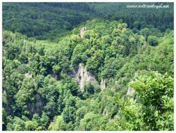 Balade à Oberhaslach en Alsace. La Cascade du Nideck, les ruines des châteaux du Nideck