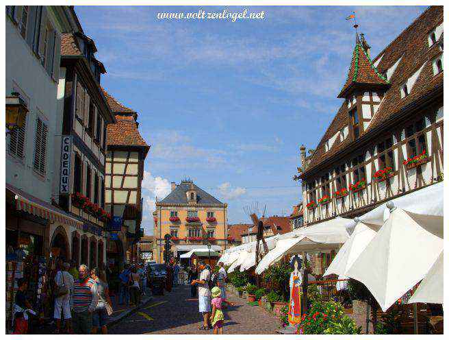 Charme médiéval : Ruelles pittoresques d'Obernai, Alsace.