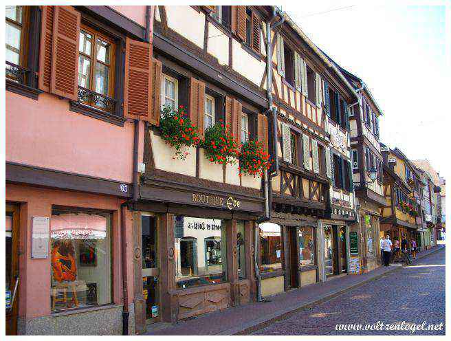Charme d'Obernai : Maisons à colombages colorées et rues pavées.
