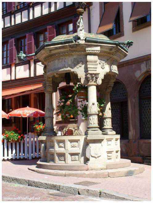 Dégustation de vins dans les vignobles d'Obernai.