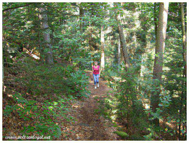 Mont Sainte Odile en Alsace