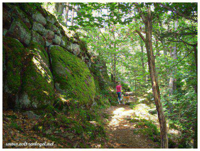 Mont Sainte Odile en Alsace