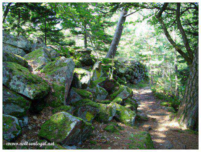 Mont Sainte Odile en Alsace