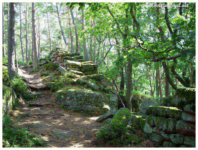 Mont Sainte Odile en Alsace