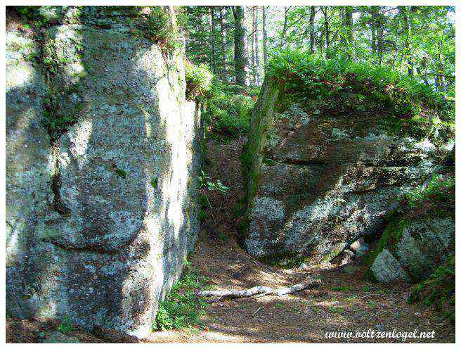 Mur Païen : vestige historique surplombant la plaine d'Alsace.