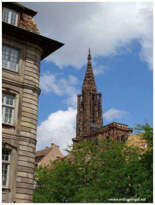 La magnifique cathédrale Notre Dame de Strasbourg
